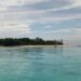 Yayasan Laut Lestari Indonesia dan FPIK UNSRAT Tandatangani Kerjasama