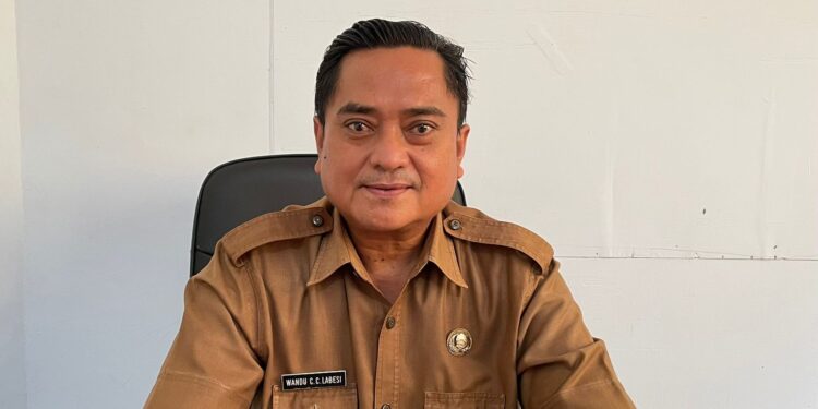 Foto: Kepala BPBD Sangihe Wandu Labesi. (Dok. Istimewa)