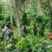 Masyarakat dan TNI Bahu-Membahu di Pra TMMD ke-117 Kodim 1309/Manado