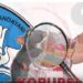 Gambar ilustrasi (Foto Istimewa).