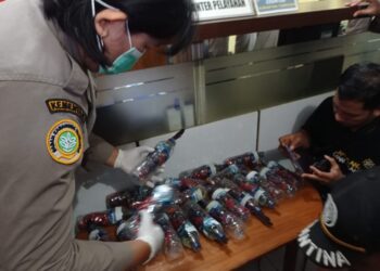 Foto: 23 Nuri Talaud Diamankan di Balai Karantina Pertanian Manado. (Dok. Rendy/Barta1)