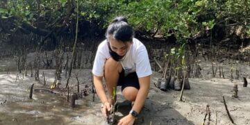 Ilustrasi milenial menanam Mangrove. (foto: Barta1)