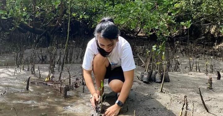 Ilustrasi milenial menanam Mangrove. (foto: Barta1)