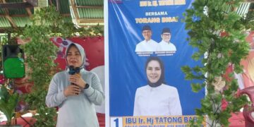 Ir.Hj Tatong Bara. (foto: istimewa)