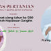 Foto: Kepala Dinas Pertanian Daerah Kabupaten Kepulauan Sangihe, Franky Nantingkaseh, S.Pi (Dok. Istimewa)