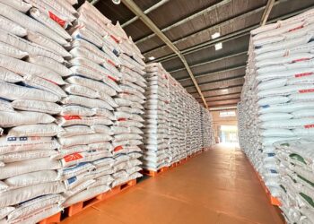 Foto: Ilustrasi. (Dok. Bulog)