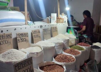 Harga Beras di Manado Sentuh Rp 15-25 Ribu Perkilo