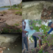 Kondisi tanggul pengaman pantai di Desa Pampalu yang jebol dan lokasi pengambilan dan pengangkutan pasir di Pantai.