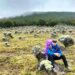 Alan Musa Oley di Padang savana alun-alun suryakencana Gunung Gede Pangrango. (Foto: istimewa)