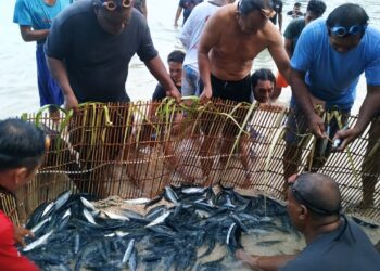 Foto: Masyarakat berhasil membawa ikan ke darat menggunakan alat tradisional Seke. (Dok. Rendy/barta1)