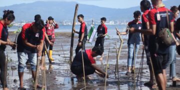 Proses penanaman 2.000 bibit Mangrove. (Foto: istimewa)