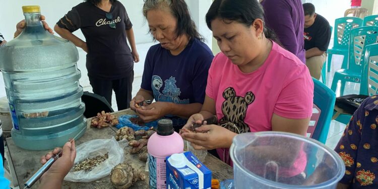 Foto: Pelatihan Pembuatan Pakan dan Probiotik pada Budidaya Ikan Air Tawar di GMIST Jemaat Eben Haezer Manganitu. (Dok. Istimewa)