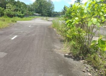 Kondisi ruas jalan bandara Likupang yang sudah ditumbuhi rumput liar. (foto: JPKP)