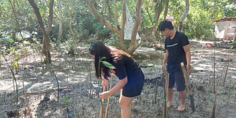 Proses penanaman 100 bibit Mangrove. (Foto: meikel/barta)