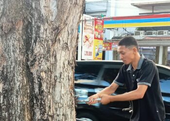 Aksi cabu paku di Pohon Sparta Tikala Manado. (Foto: meikel/barta)