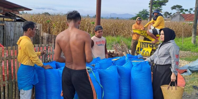 Anggota DPD RI Rahmijati Jahja saat melihat kondisi para petani. (Foto; istimewa)