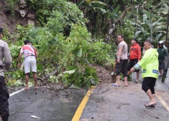 Foto: Longsor uras jalan Tahuna-Peta. (Dok. GB)