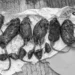 Seminggu Tempo Dikirim Kepala Babi dan Tikus, Teror Terus Terjadi