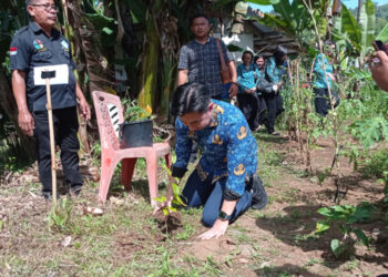Foto: Bupati Kepulauan Sangihe, Michael Thungari mengambil bagian dalam penanaman pohon di Kampung Kuma. (Dok. Rendy/Barta1)