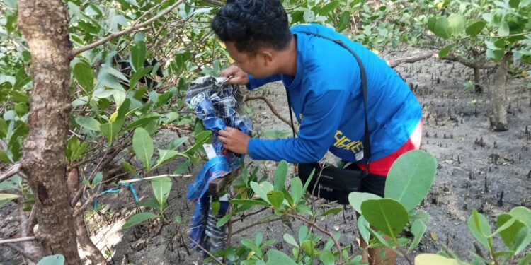 Ilustrasi penanaman dan pembersihan pohon Mangrove di pesisir. (foto: Barta1)