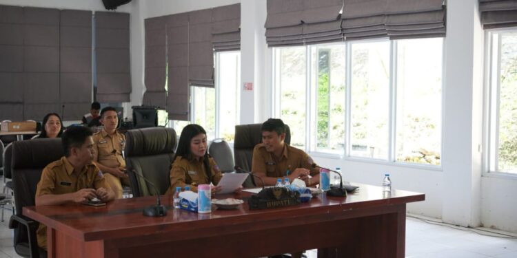 Sosialisasi Pengawasan Perizinan di Daerah, Bupati Sitaro ikut Secara Virtual