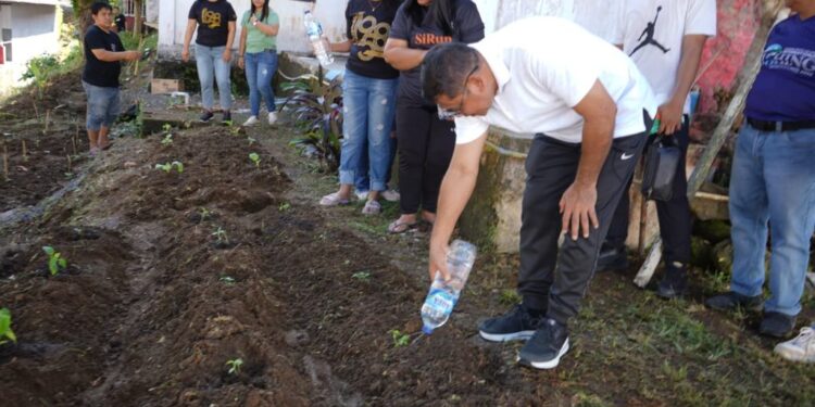 Gerakan ASN Menanam Upaya Mendukung Program Ketahanan Pangan