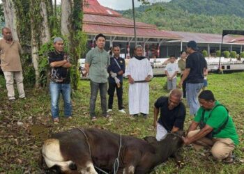 Foto: Bupati Kepulauan Sangihe Michael Thungari saat menyaksikan penyembelihan hewan kurban. (Dok. Istimewa)