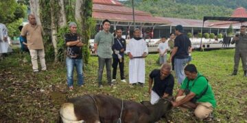 Foto: Bupati Kepulauan Sangihe Michael Thungari saat menyaksikan penyembelihan hewan kurban. (Dok. Istimewa)