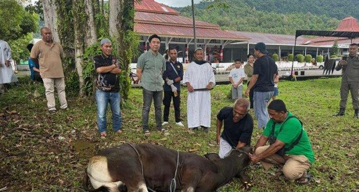 Foto: Bupati Kepulauan Sangihe Michael Thungari saat menyaksikan penyembelihan hewan kurban. (Dok. Istimewa)