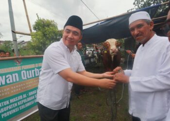 Foto: Bupati Kepulauan Sangihe, Michael Thungari menyerahkan bantuan hewan kurban dari Presiden RI dan Pemkab Sangihe. (Dok. Istimewa)