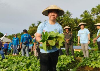 Foto: Bupati Kepulauan Sangihe saat berkunjung ke perkebunan dalam acara pembukaan Gerakan Membara Mesuang. (Dok. Istimewa)
