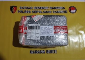 Foto: Barang Bukti yang Diamankan Polres Kepulauan Sangihe. (Dok. Istimewa)
