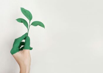 Ilustrasi energi hijau. (foto: pexels )alena koval