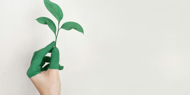 Ilustrasi energi hijau. (foto: pexels )alena koval