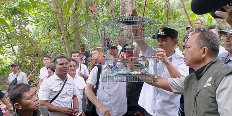 Bupati Kepulauan Talaud, Welly Titah berfoto bersama dalam kegiatan pelepasan satwa endemi Burung Sampiri dan Ketam Kenari di situs Goa Batu Kapal, Desa Kiama Induk.