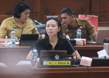 Wakil Ketua Pansus RT/RW, Cindy Wurangian. (foto: istimewa)