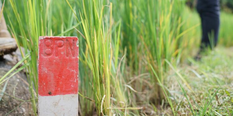 Kurangi Masalah Batas Tanah, Menteri Nusron Imbau Masyarakat Pasang Patok Permanen