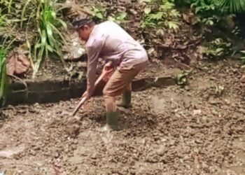 Berjibaku Bersihkan Sumber Air, Direktur PDAM Talaud Mandi Lumpur Bersama Staf Bagian Teknik