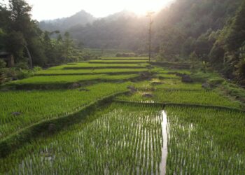Pembangunan Harus Berkeadilan, Reforma Agraria Jawab Ketimpangan Penguasaan dan Pemilikan Tanah