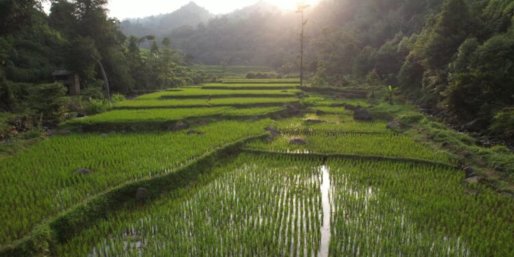 Pembangunan Harus Berkeadilan, Reforma Agraria Jawab Ketimpangan Penguasaan dan Pemilikan Tanah