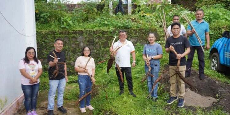Program Inovasi Sitaro Musuang Mulai Membuahkan Hasil