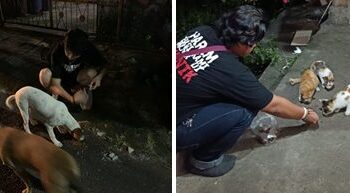 Aksi KMPA Tansa dan KPA Silvaterra berbagi makanan kepada hewan. (foto: istimewa)