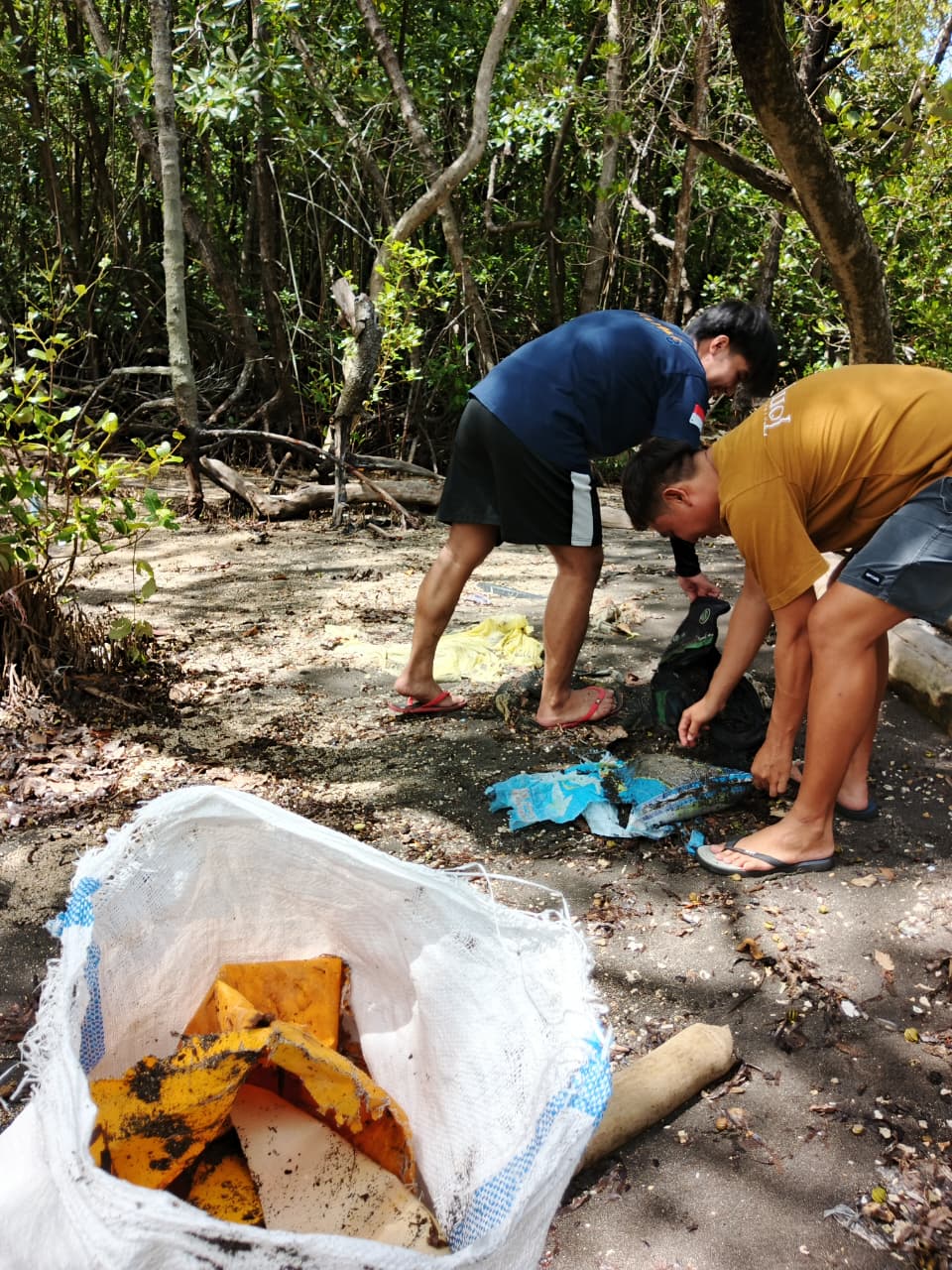 Pembersihan sampah di Kawasan Hutan Mangrove. (foto: Meikel/Barta).