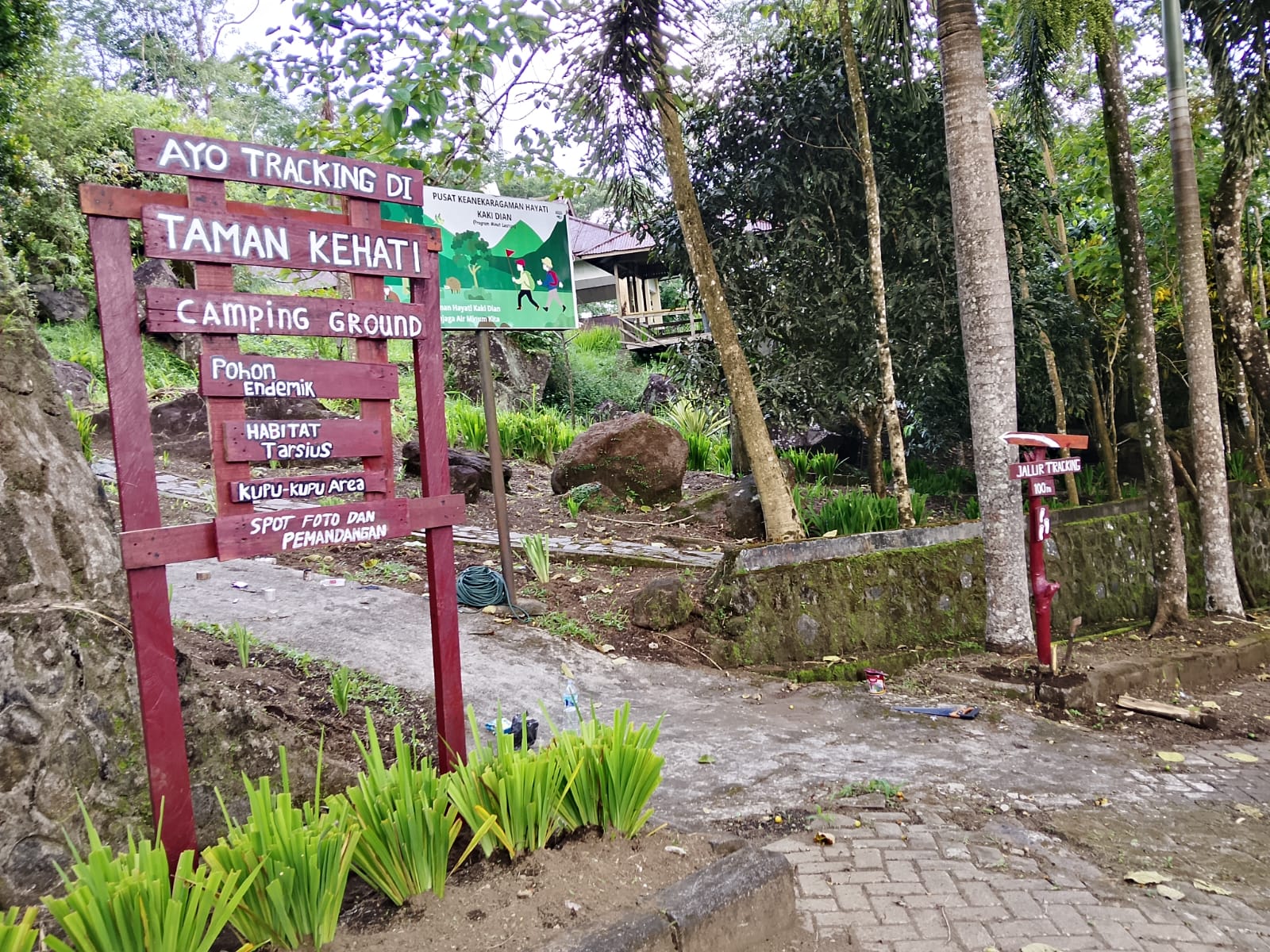 Lokasi di area camping ground. (foto : Istimewa)