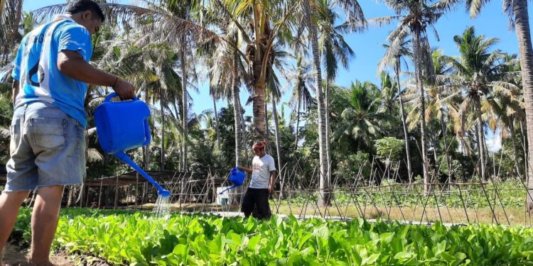 Analisis Peran Sektor Pertanian Dalam Mendorong Pertumbuhan Ekonomi Desa Sea, Kecamatan Pineleng, Kabupaten Minahasa, Sulawesi Utara