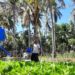 Analisis Peran Sektor Pertanian Dalam Mendorong Pertumbuhan Ekonomi Desa Sea, Kecamatan Pineleng, Kabupaten Minahasa, Sulawesi Utara