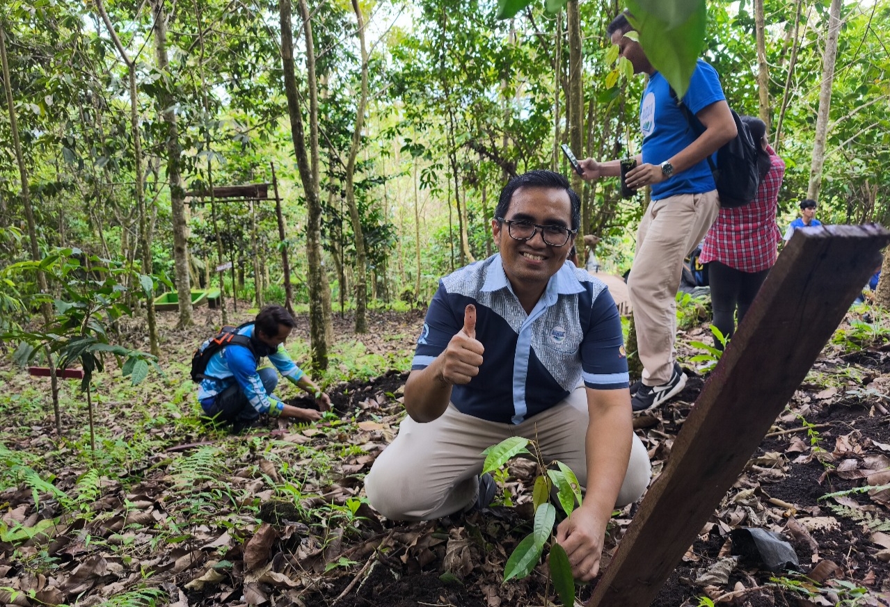 Proses pemeliharaan bibit pohon. (Foto : istimewa)