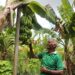 Begini Keunggulan Kampung Reforma Agraria Baumata di Kupang