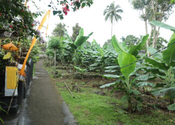 Reforma Agraria di Asahduren, Sertipikat Tanah Ulayat Buka Akses Ekonomi Masyarakat