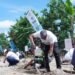 PLN tanam ribuan bibit pohon di DAS Tondano. (foto: Humas PLN)